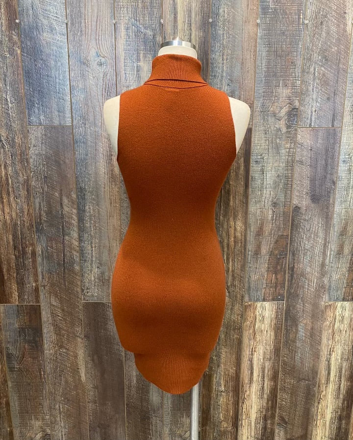 MINI TURTLENECK DRESS