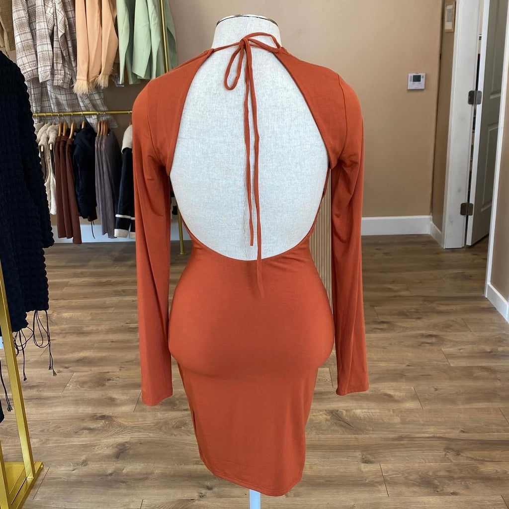 Long sleeve cut out dress